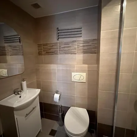 Golebia-plus 아파트 포즈난